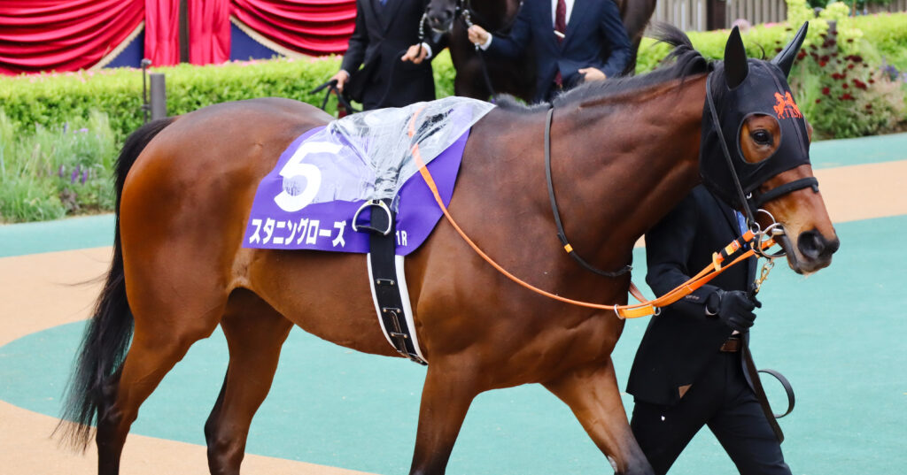 2023年5月14日東京競馬場・ヴィクトリアマイルのパドックで、落ち着いた表情で周回するスタニングローズの姿