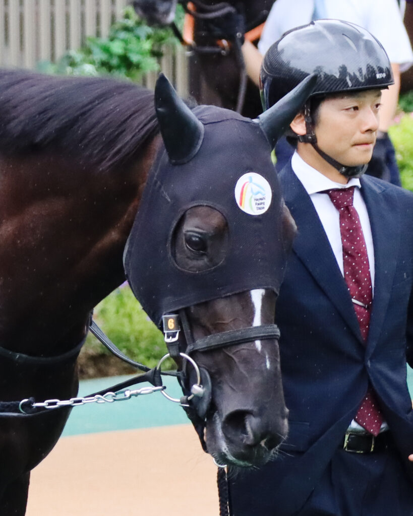 2023年5月14日東京競馬場・ヴィクトリアマイルのパドックで、凛とした雰囲気で周回するソングラインのアップの写真