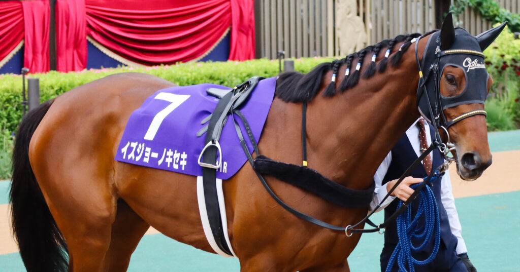2023年5月14日ヴィクトリアマイルのパドックで、美しい編み込みと切れ長の目が印象的なイズジョーノキセキ