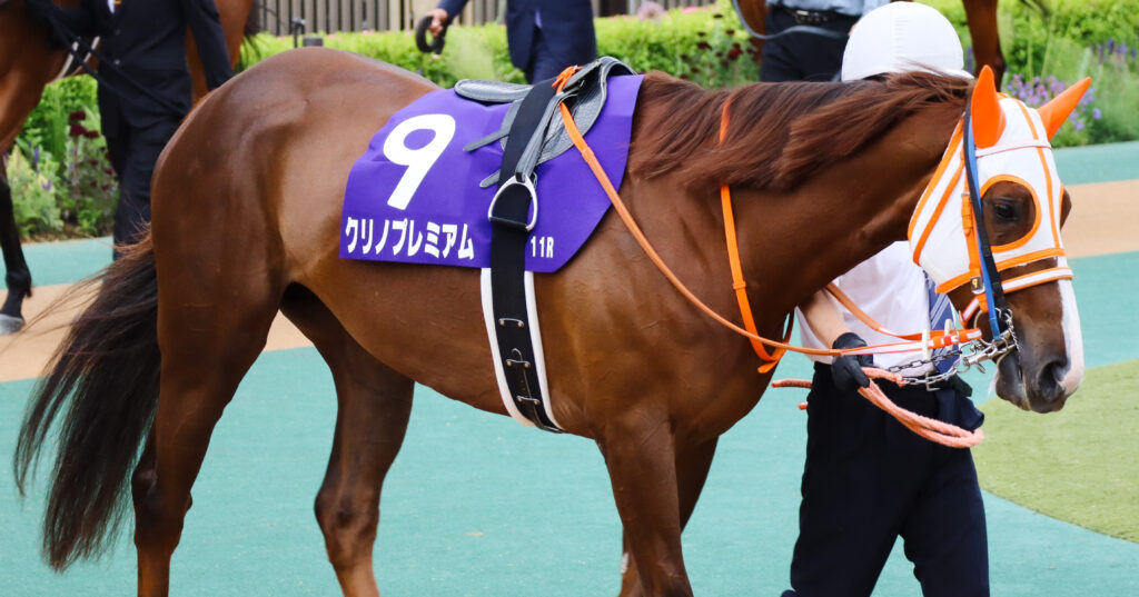 2023年5月14日東京競馬場・ヴィクトリアマイルのパドックで、落ち着いた様子で周回するクリノプレミアム