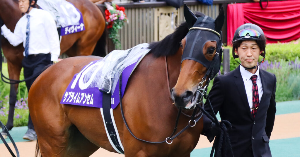 2023年5月14日ヴィクトリアマイルのパドックで、クリクリとした瞳が愛らしいサブライムアンセム