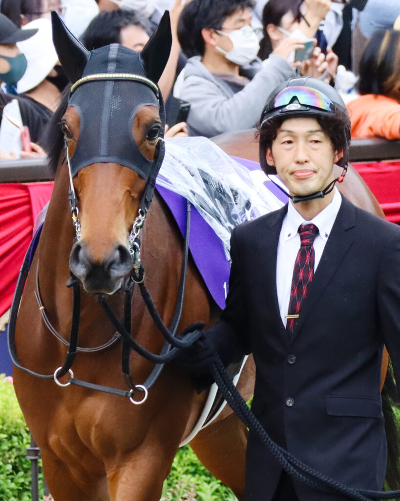 2023年5月14日ヴィクトリアマイルのパドックで、クリクリとした瞳が愛らしいサブライムアンセム