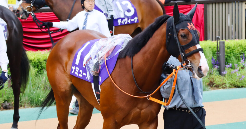 2023年5月14日、東京競馬場・ヴィクトリアマイルのパドックをゆったりと周回するナミュールの姿