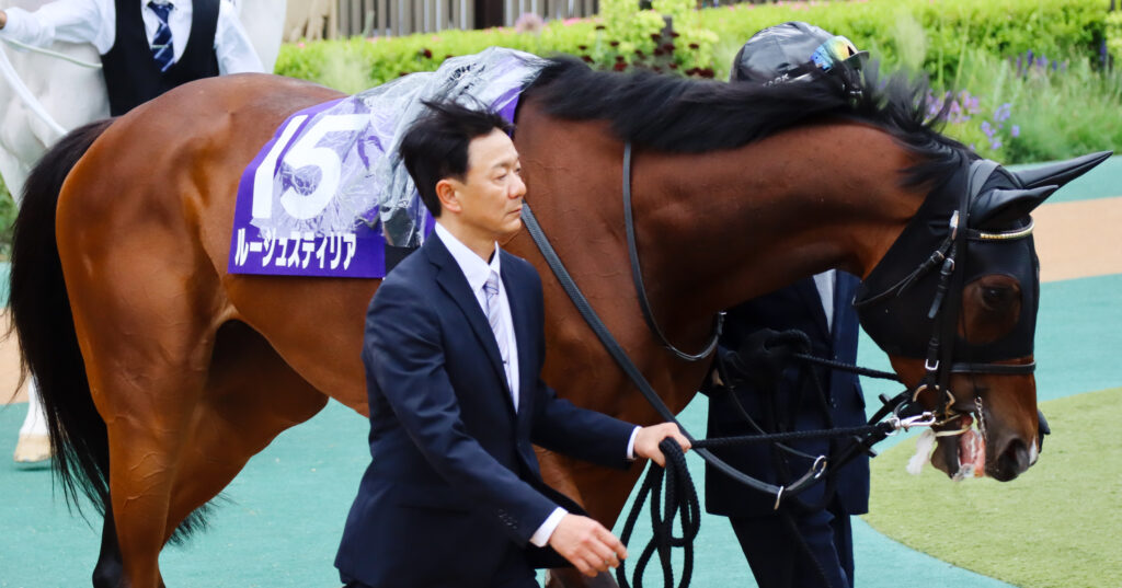 2023年5月14日東京競馬場・ヴィクトリアマイルのパドックで、気合いの入った様子を見せるルージュスティリア