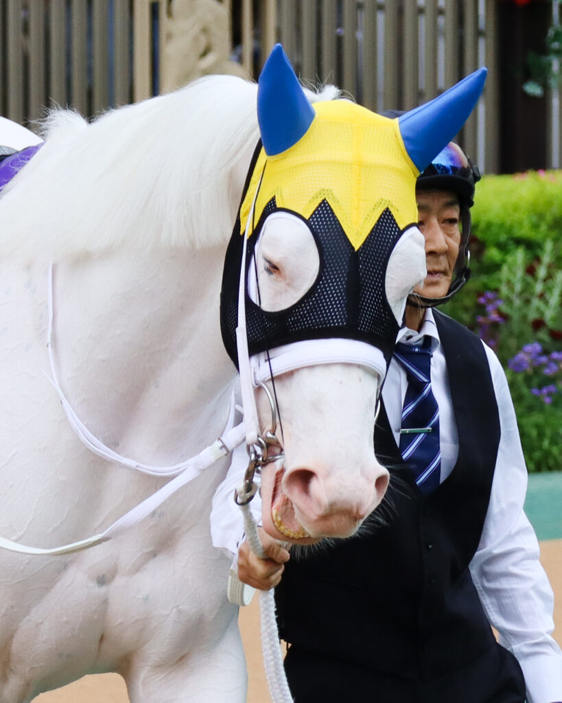 2023年5月14日東京競馬場・ヴィクトリアマイルのパドックで、美しい白毛の馬体を輝かせながら歩くソダシ