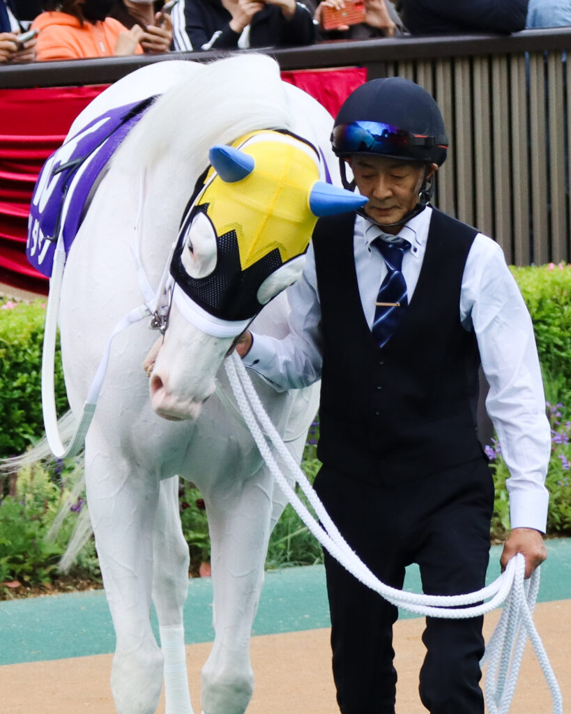 2023年5月14日ヴィクトリアマイルのパドックで、今浪厩務員に甘えるように寄り添うソダシの微笑ましいシーン