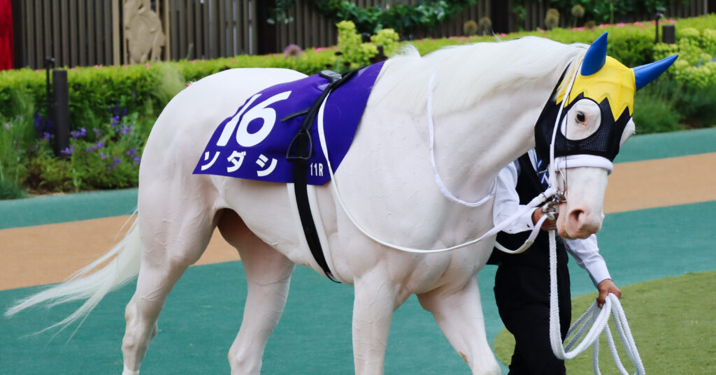2023年5月14日東京競馬場・ヴィクトリアマイルのパドックで、美しい白毛の馬体を輝かせながら歩くソダシ