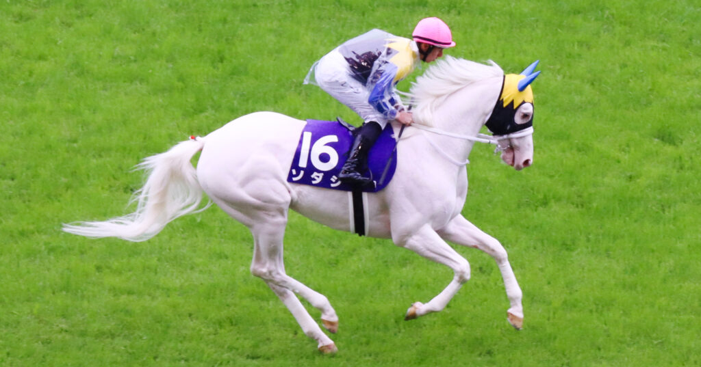 2023年5月14日東京競馬場・ヴィクトリアマイルの返し馬で、白毛の美しさが際立つソダシとダミアン・レーン騎手