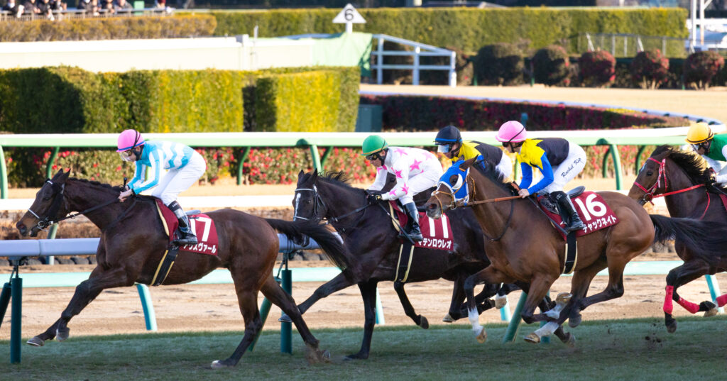 2025年1月26日、中山競馬場で行われたAJCC（アメリカジョッキークラブカップ）のスタート直後の写真。各馬がポジションを求めて動き出すなか、中央にはマテンロウレオ、外にはチャックネイトが並ぶ迫力あるシーン