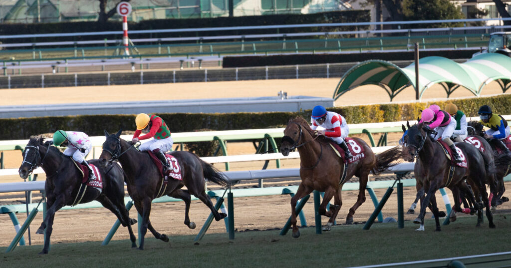 2025年撮影、中山競馬場のAJCC（アメリカジョッキークラブカップ）ゴール前100mの攻防。コスモキュランダを追ってマテンロウレオとダノンデサイルが差を詰める緊迫の終盤シーン