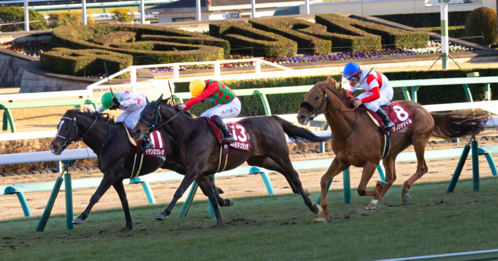 2025年撮影、中山競馬場のAJCC（アメリカジョッキークラブカップ）ゴール前50mの攻防。コスモキュランダを追ってマテンロウレオとダノンデサイルが差を詰める緊迫の終盤シーン