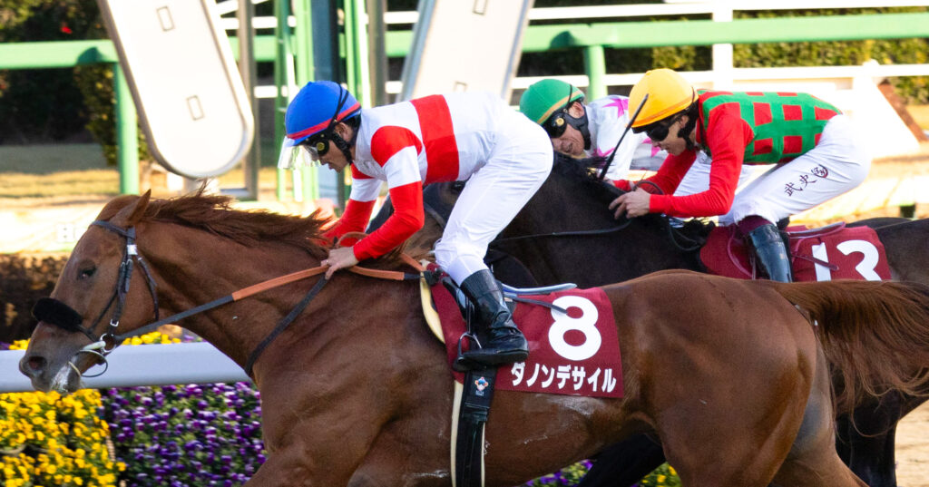 2025年撮影、中山競馬場で行われたAJCC（アメリカジョッキークラブカップ）のゴール前で、ダノンデサイルが外から差し切り、コスモキュランダとマテンロウレオとの接戦となった緊迫のラストを捉えた写真