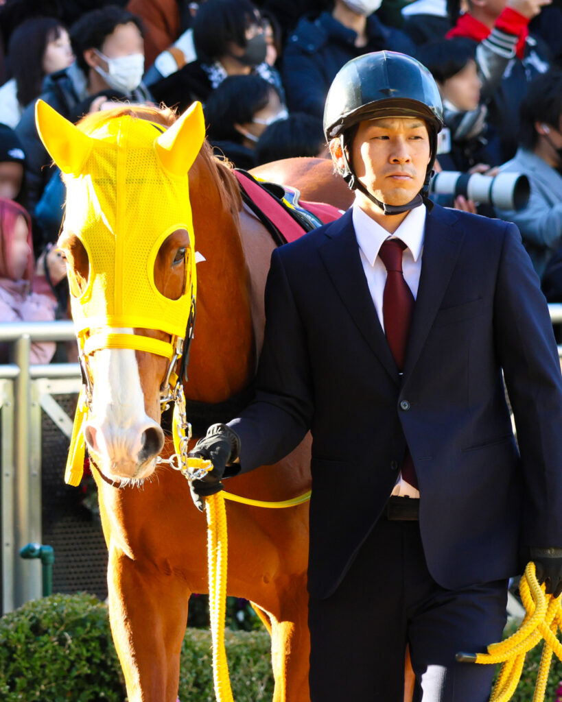 AJCC（アメリカジョッキークラブカップ）のパドックを静かに歩くボルドグフーシュ。2025年1月26日、中山競馬場で見せた落ち着きと風格は、重賞常連馬の余裕と誇りを感じさせる