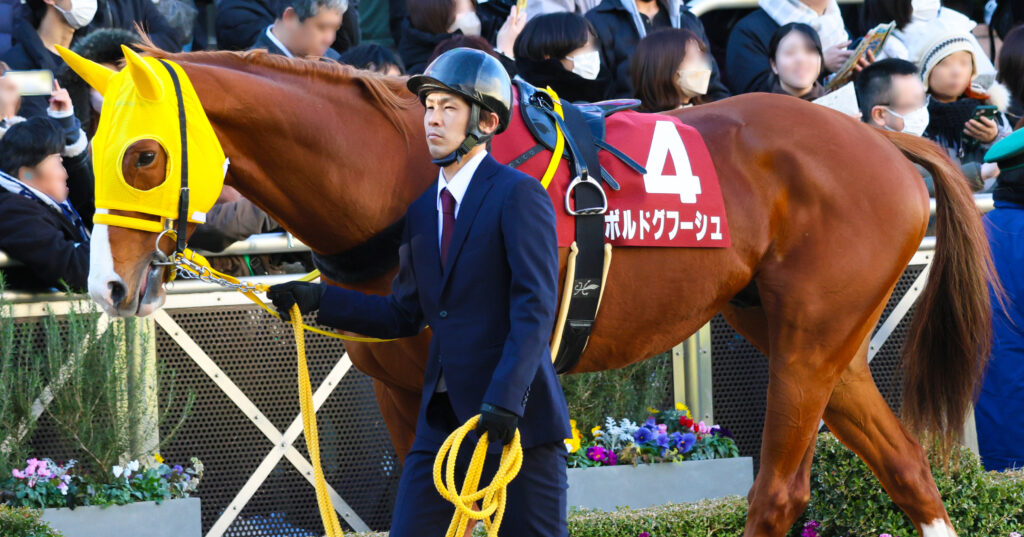 AJCC（アメリカジョッキークラブカップ）のパドックを静かに歩くボルドグフーシュ。2025年1月26日、中山競馬場で見せた落ち着きと風格は、重賞常連馬の余裕と誇りを感じさせる
