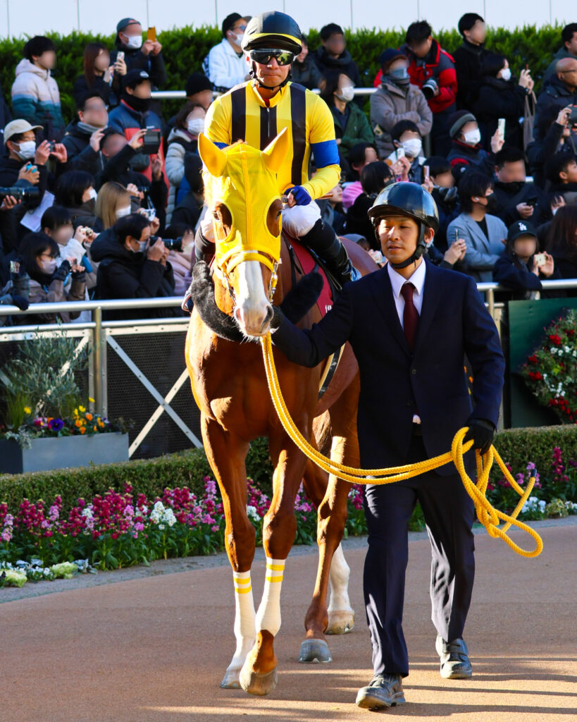 2025年撮影、中山競馬場で行われたAJCCのパドックで、内田博幸騎手を背に落ち着いた歩様を見せるボルドグフーシュの姿を捉えた写真