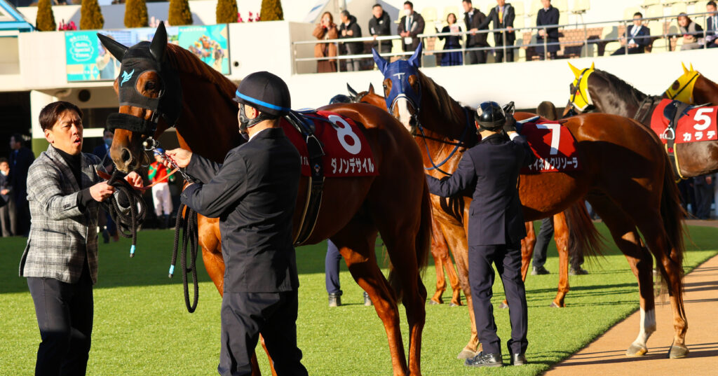 2025年撮影、中山競馬場で行われたAJCC（アメリカジョッキークラブカップ）のパドックで、注目馬ダノンデサイルがレースに向けて馬装を整える姿を捉えた写真