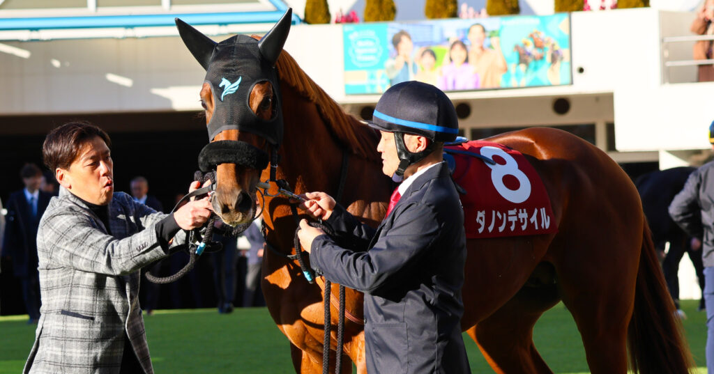 2025年撮影、中山競馬場で行われたAJCC（アメリカジョッキークラブカップ）のパドックで、注目馬ダノンデサイルがレースに向けて馬装を整える姿を捉えた写真