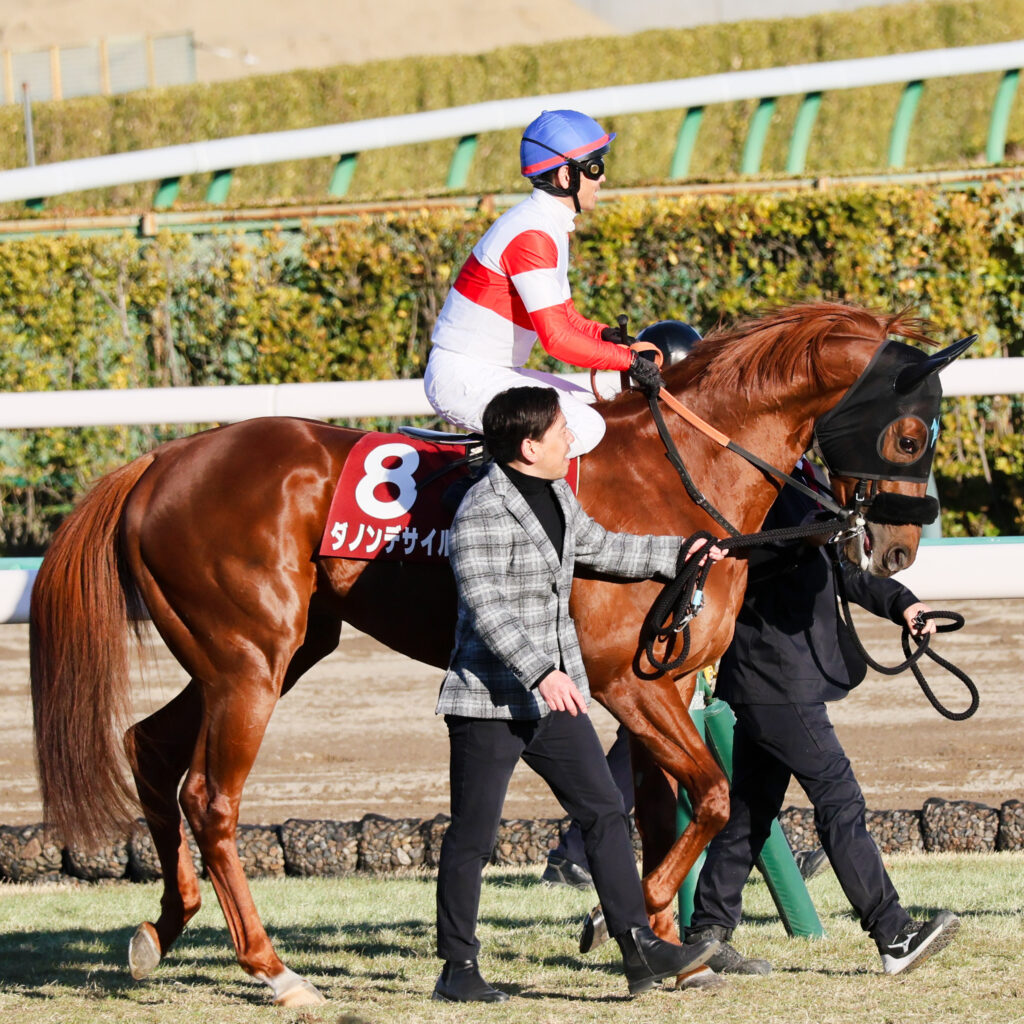 AJCC（アメリカジョッキークラブカップ）のレース直前、戸崎圭太騎手を背に厩舎関係者に導かれ馬場入りするダノンデサイル。2025年1月26日、中山競馬場での本番前の静けさと集中が伝わる一枚