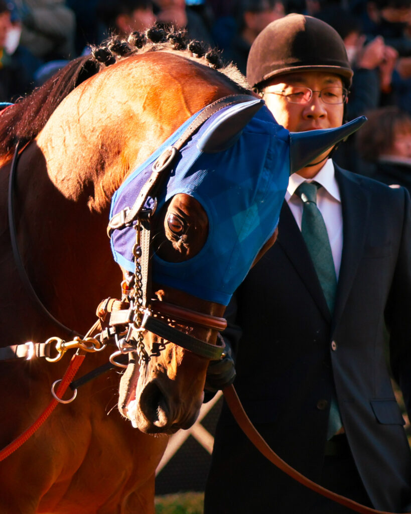 2025年1月26日、中山競馬場で行われたAJCC（アメリカジョッキークラブカップ）のパドックで撮影されたレーベンスティールの写真。落ち着いた雰囲気の中、集中して歩く姿が印象的な一枚