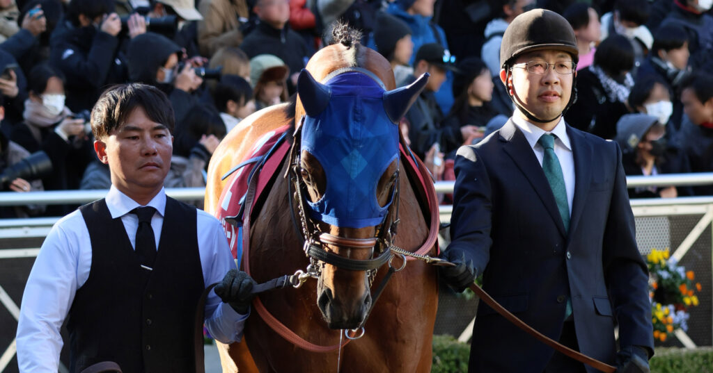 2025年1月26日、中山競馬場で行われたAJCC（アメリカジョッキークラブカップ）のパドックで撮影されたレーベンスティールの写真。落ち着いた雰囲気の中、集中して歩く姿が印象的な一枚