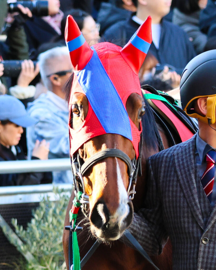 2025年1月26日、中山競馬場で行われたAJCC（アメリカジョッキークラブカップ）のパドックで撮影されたライラックの顔のアップ写真。落ち着いた瞳が印象的な一枚