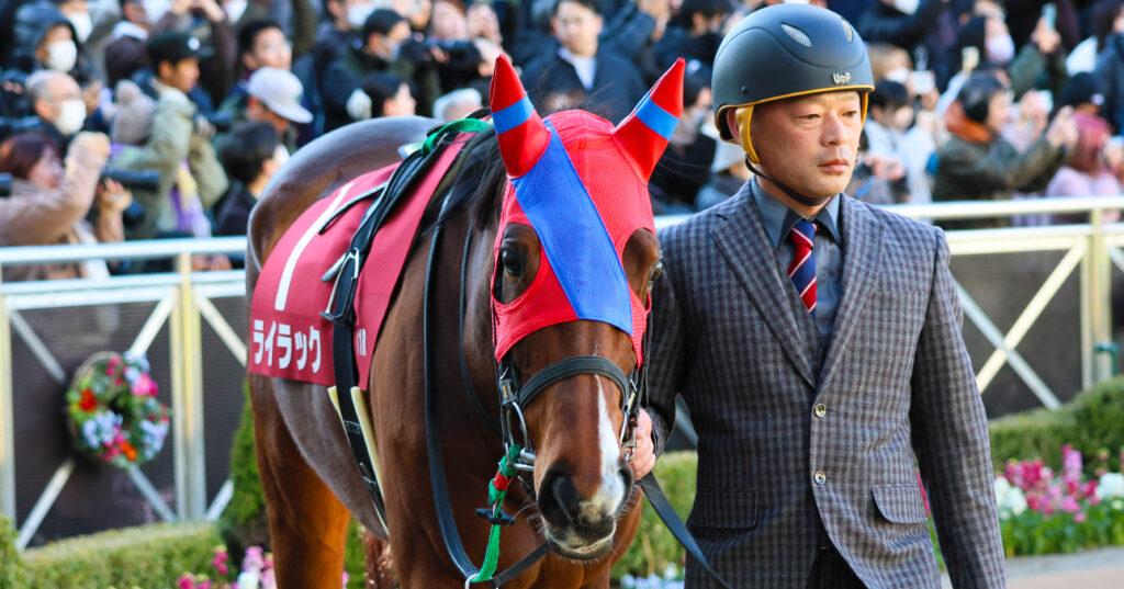 2025年1月26日、中山競馬場で行われたAJCC（アメリカジョッキークラブカップ）のパドックで撮影されたライラックの写真。気品ある立ち姿と落ち着いた歩様が印象的な一枚