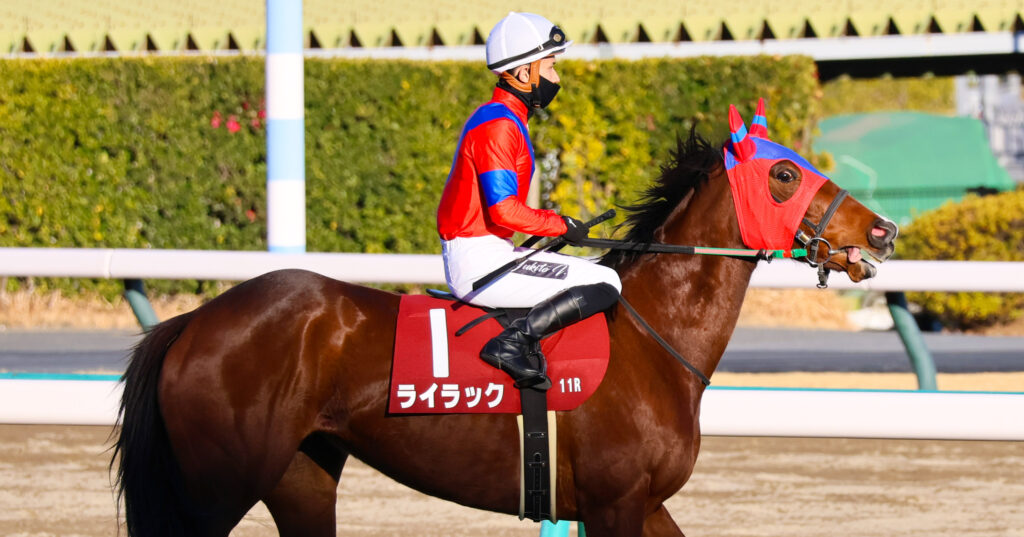 2025年1月26日、中山競馬場で行われたAJCC（アメリカジョッキークラブカップ）のレース前、返し馬で撮影されたライラックの写真。石川裕紀人騎手を背に落ち着いた雰囲気で本馬場を進む姿が印象的な一枚