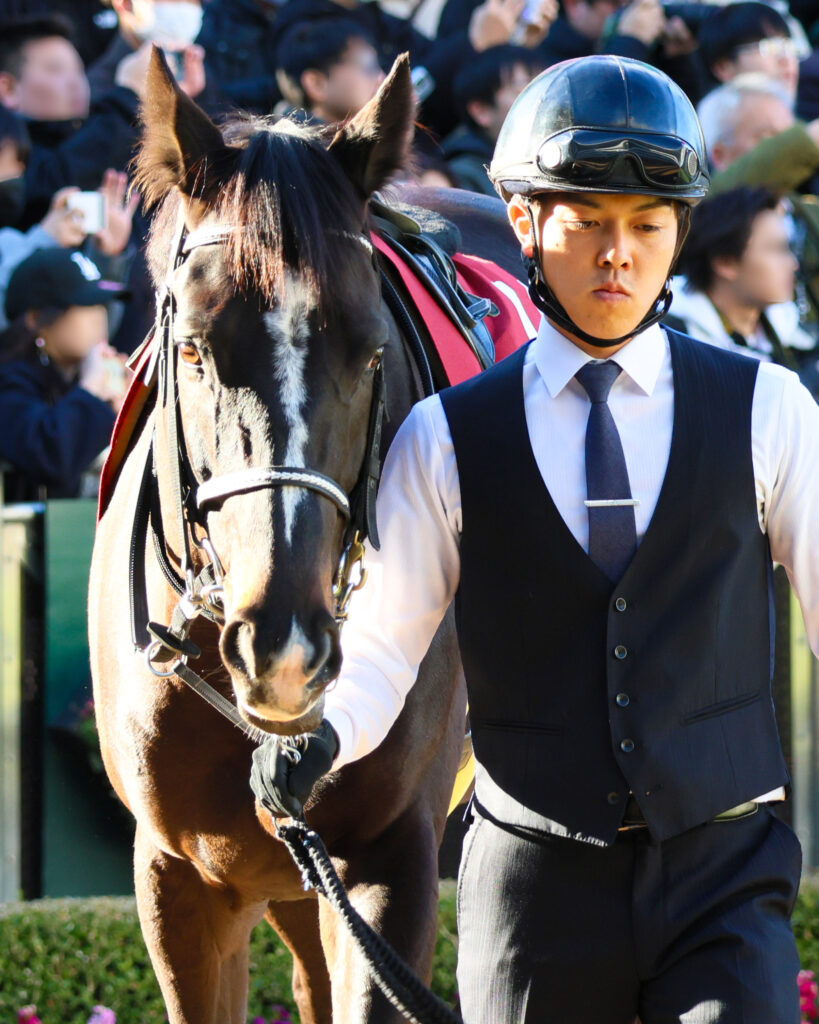 2025年1月26日、中山競馬場で行われたアメリカジョッキークラブカップのパドックで撮影されたマテンロウレオの写真。どこか子供っぽさが残る、かわいらしい表情が印象的な一枚