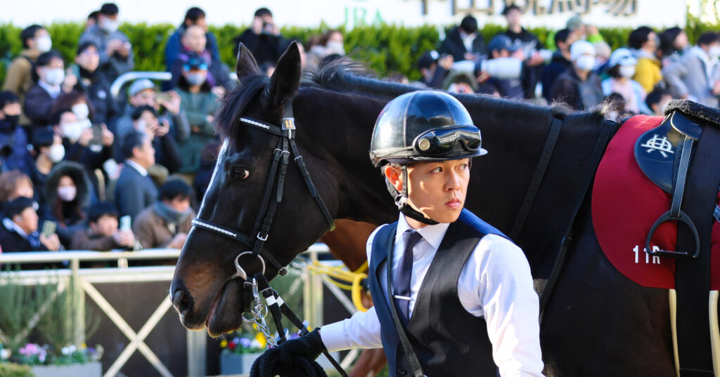 2025年撮影、中山競馬場で行われたAJCC（アメリカジョッキークラブカップ）のパドックに登場したマテンロウレオ。落ち着いた歩様と集中した表情を捉えた写真