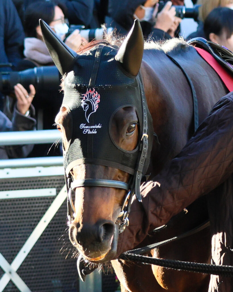 2025年撮影、中山競馬場で行われたAJCC（アメリカジョッキークラブカップ）のパドックで、落ち着いた様子で歩くGⅠ馬ポタジェの姿を捉えた写真