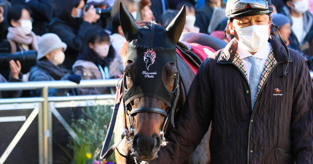 2025年撮影、中山競馬場で行われたAJCC（アメリカジョッキークラブカップ）のパドックで、落ち着いた様子で歩くGⅠ馬ポタジェの姿を捉えた写真