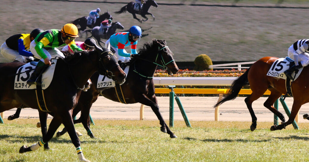 2025年2月23日東京競馬場の4歳以上1勝クラス、ゴール前で馬群の中から懸命に脚を伸ばす出資馬シアブリスと石川裕紀人騎手の姿