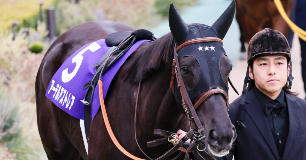 JRAでの最後のレースとなった2025年フェブラリーステークス。酒井助手に引かれ、アーテルアストレアがかわいらしい目でパドックの観客を見渡す姿は、まるで感謝を伝えるようだった