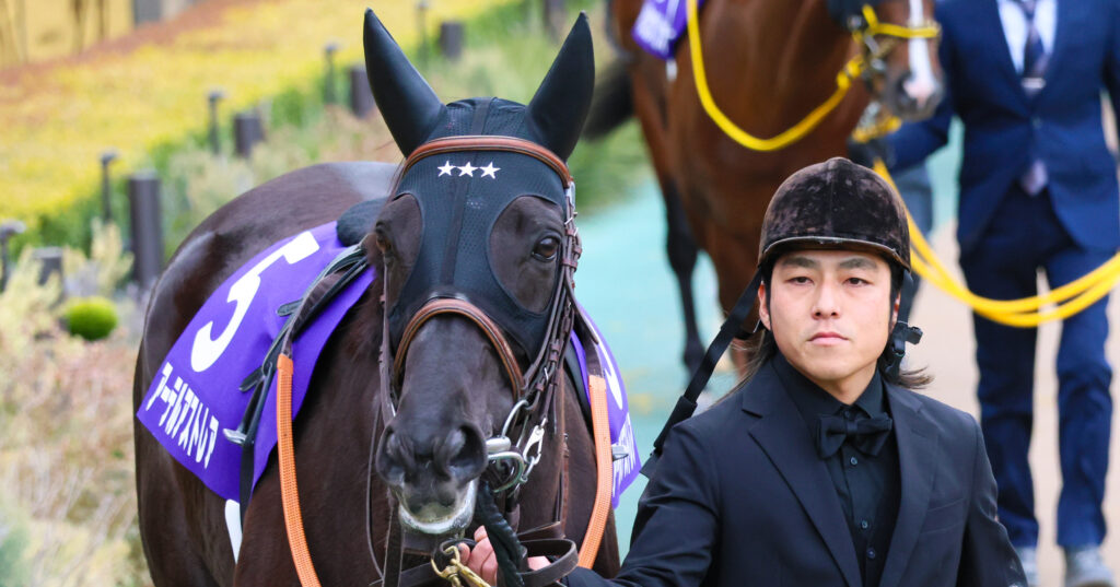 JRAでの最後のレースとなった2025年フェブラリーステークス。酒井助手に引かれ、アーテルアストレアがかわいらしい目でパドックの観客を見渡す姿は、まるで感謝を伝えるようだった