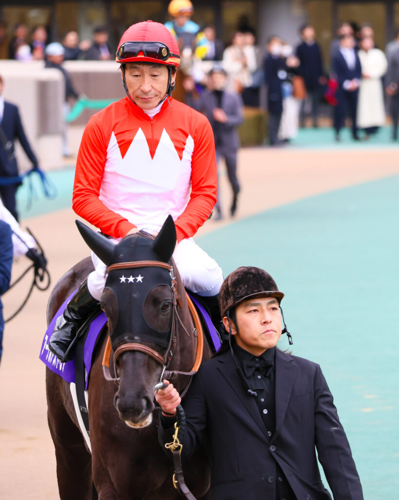 2025年撮影、東京競馬場で行われたフェブラリーステークスのパドックで、JRA最終出走となったアーテルアストレアが酒井助手に引かれ、横山典弘騎手を背に周回する感慨深い一枚