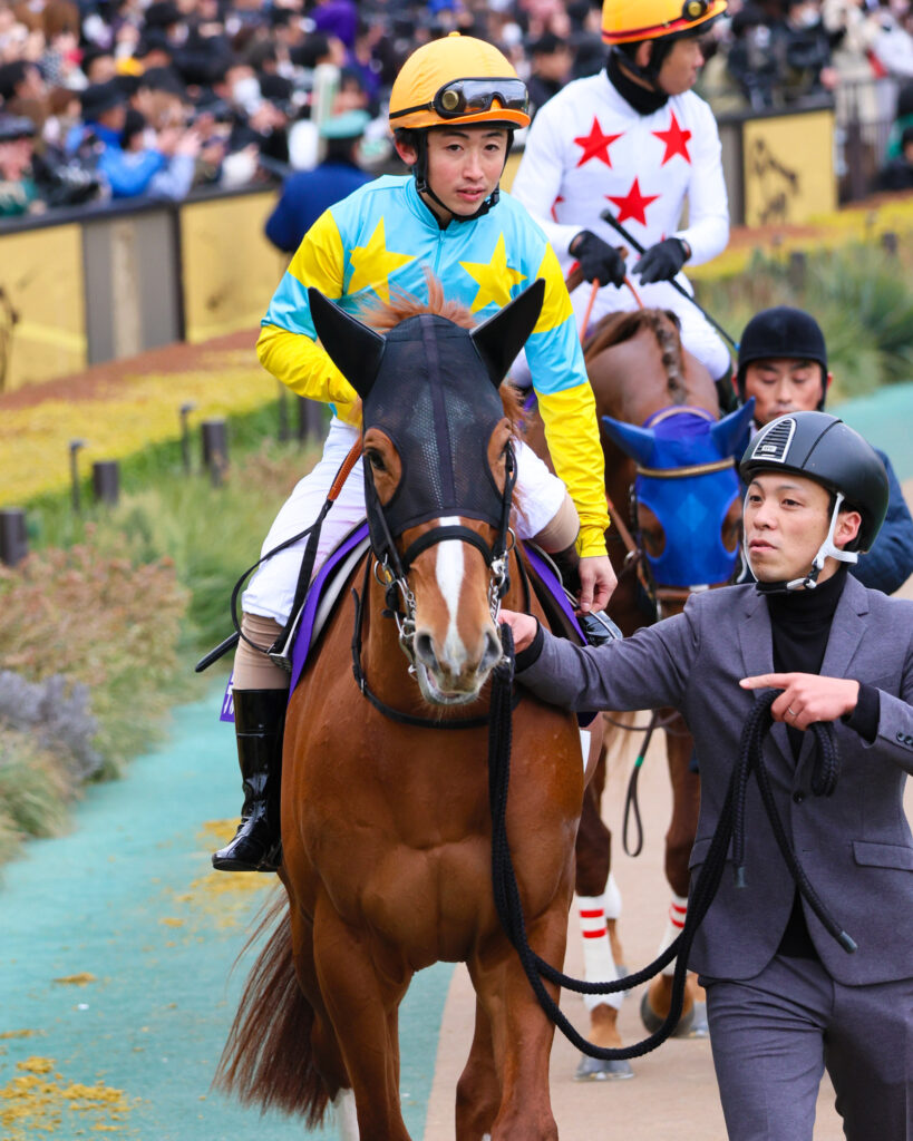 2025年2月23日、東京競馬場で行われたフェブラリーステークスのパドックで撮影されたデルマソトガケの写真。松若風馬騎手を背に、落ち着いた様子で周回する堂々たるGⅠ馬の姿が印象的な一枚