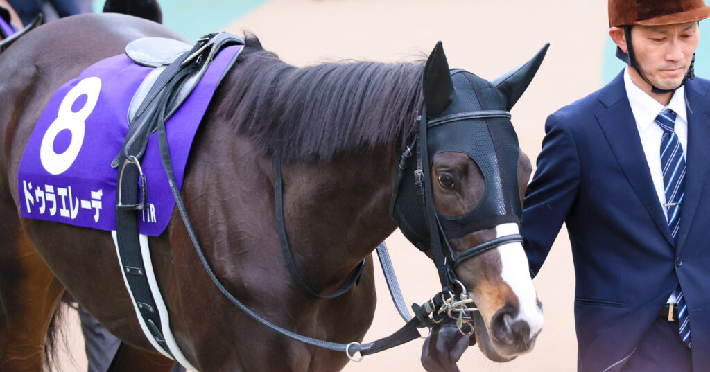 2025年2月23日、東京競馬場で行われたフェブラリーステークスのパドックで撮影されたドゥラエレーデの写真。落ち着いた表情と力強い歩様が印象的なGⅠ直前のワンシーン