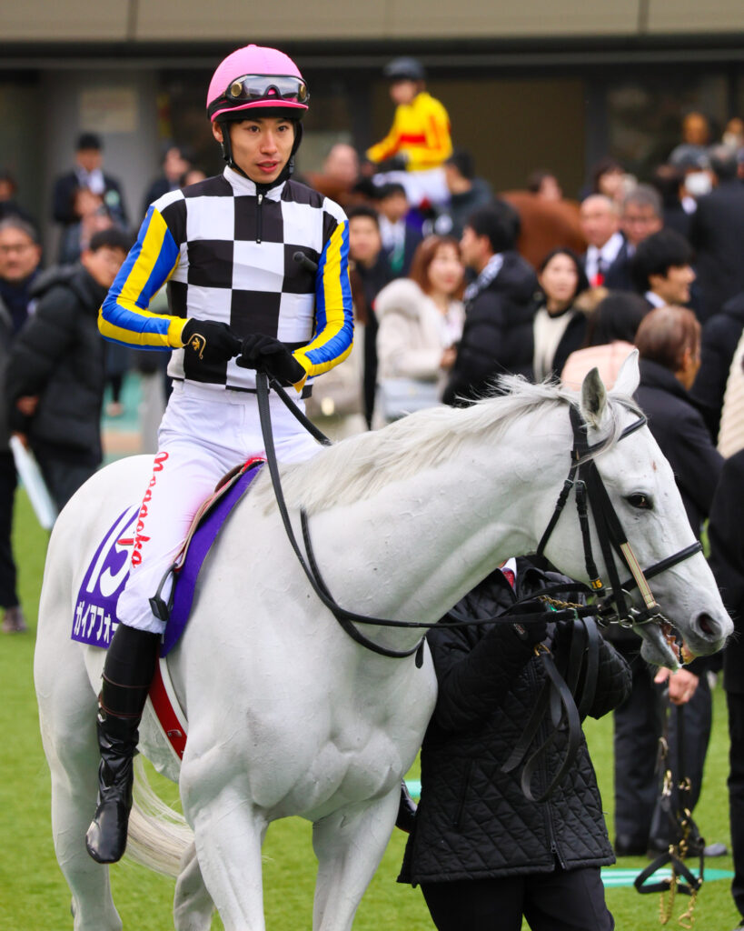 2025年2月23日、東京競馬場で行われたフェブラリーステークスのパドックで撮影されたガイアフォースの写真。長岡禎仁騎手を背に、静かに闘志を燃やす姿が印象的な一枚