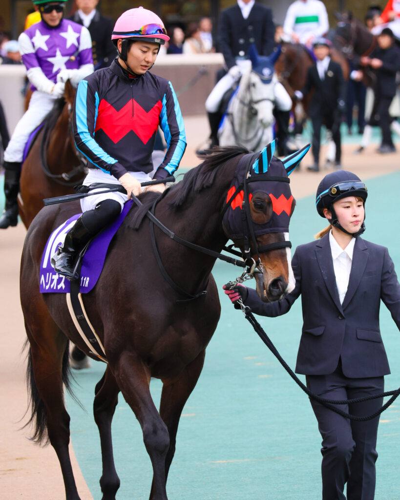 2025年2月23日、東京競馬場で行われたフェブラリーステークスのパドックで撮影されたヘリオスの写真。原優介騎手を背に、落ち着いた様子で周回するベテランの風格が漂う一枚