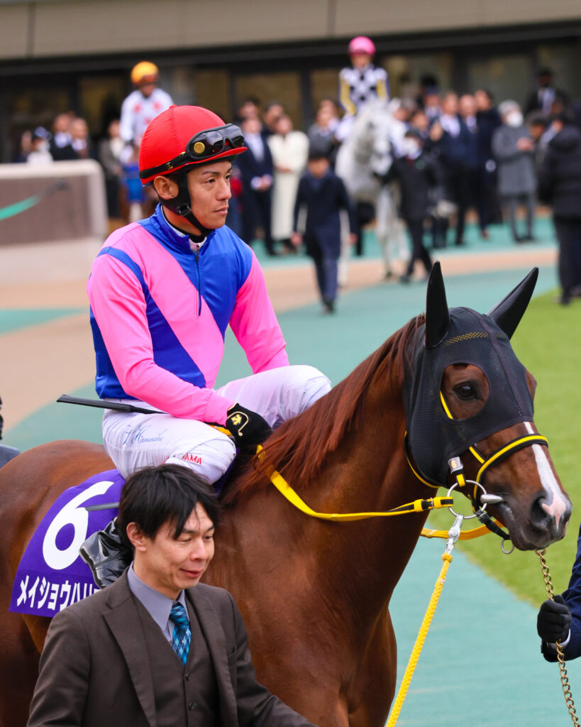 2025年2月23日、東京競馬場で行われたフェブラリーステークスのパドックで撮影されたメイショウハリオの写真。浜中俊騎手を背に、落ち着きと貫禄ある姿で周回する実力馬の一枚
