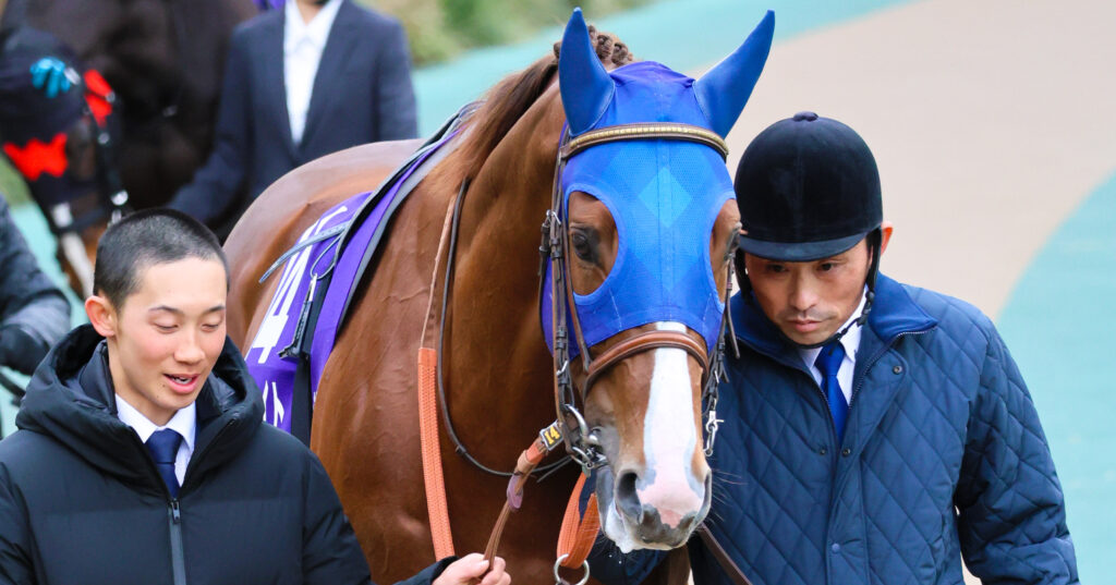 2025年撮影、東京競馬場で行われたフェブラリーステークスのパドックに登場したミッキーファイト。落ち着いた表情とGⅠに挑む気迫が感じられる一瞬を捉えた写真