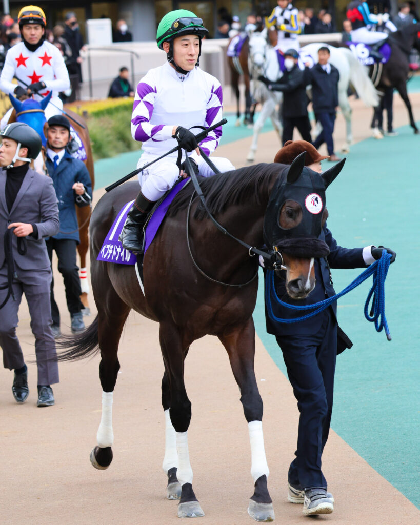 2025年2月23日、東京競馬場で行われたフェブラリーステークスのパドックで撮影されたペプチドナイルの写真。藤岡佑介騎手を背に、力強く落ち着いた歩様で周回する姿が印象的な一枚