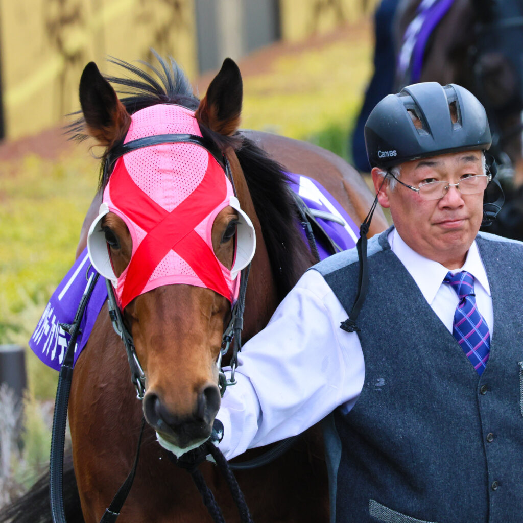 2025年撮影、東京競馬場で行われたフェブラリーステークスのパドックに登場したサンデーファンデー。GⅠの緊張感の中で落ち着きある周回を見せた注目馬の姿を捉えた写真