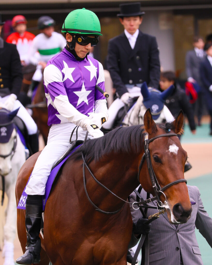 2025年撮影、東京競馬場で行われたフェブラリーステークスのパドックで、幸英明騎手を背に落ち着いた歩様を見せるサンライズジパングの堂々たる姿を捉えた写真