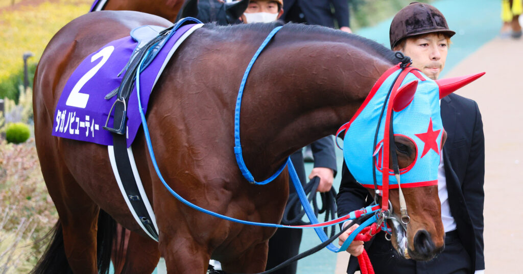 2025年撮影、東京競馬場のフェブラリーステークスのパドックで、長年ダート戦線を支え続けてきたタガノビューティーが落ち着いた様子で周回する姿を捉えた写真