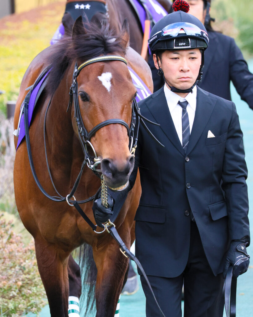 2025年撮影、東京競馬場で行われたフェブラリーステークスのパドックで、落ち着いた様子で周回するウィリアムバローズの堂々たる姿を捉えた写真