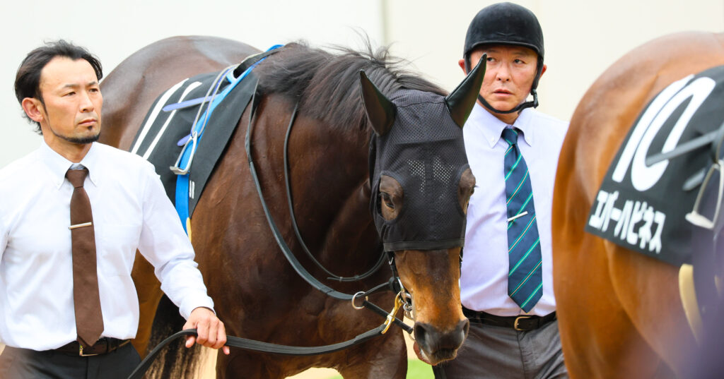 2025年4月20日中山競馬場の野島崎特別、パドックで落ち着いた歩様を見せる出資馬カンティアーモの姿