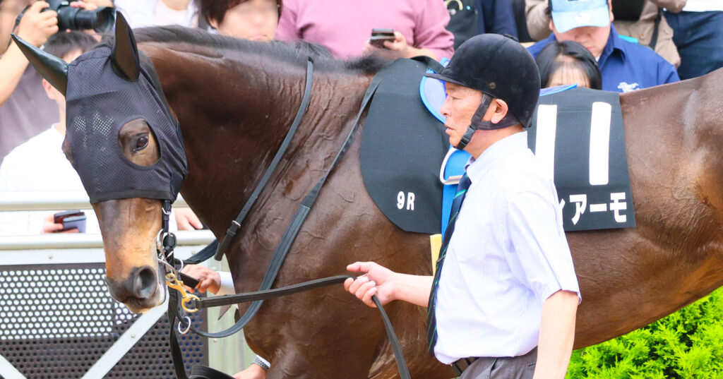 2025年4月20日中山競馬場の野島崎特別、パドックで落ち着いた歩様を見せる出資馬カンティアーモの姿
