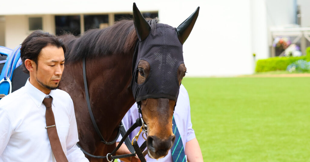 2025年4月20日中山競馬場の野島崎特別、パドックで落ち着いた歩様を見せる出資馬カンティアーモの姿