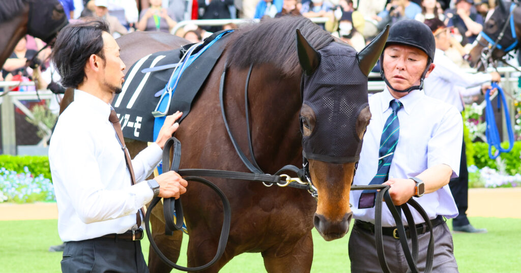 2025年4月20日中山競馬場の野島崎特別、パドックで落ち着いた歩様を見せる出資馬カンティアーモの姿